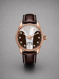 Classy Luxury Men's Watch - Brown